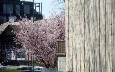 A na zewnątrz robi się coraz piękniej... - zdjęcie 6