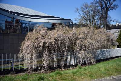 A na zewnątrz robi się coraz piękniej... - zdjęcie 5