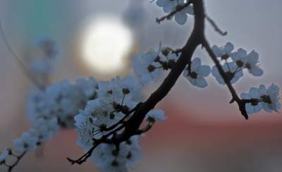 Tej pracy nie wykona się zdalnie: to była fascynująca noc - zdjęcie 4