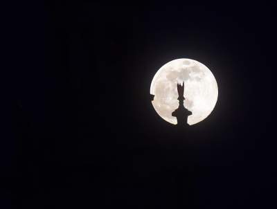 Tej pracy nie wykona się zdalnie: to była fascynująca noc - zdjęcie 12