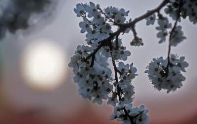 Tej pracy nie wykona się zdalnie: to była fascynująca noc - zdjęcie 5