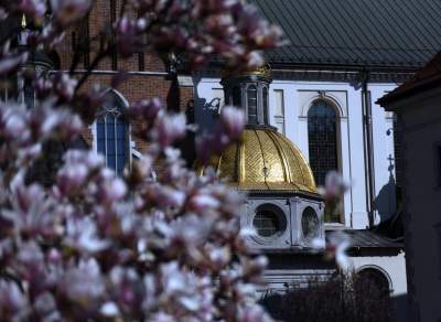 Przyszedł czas na wawelskie magnolie. Ależ pięknie! - zdjęcie 18