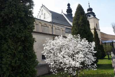 Opustoszały Salwator bez odpustu Emaus... - zdjęcie 13