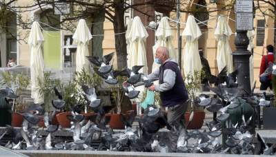 Sceny jak z "Ptaków" Alfreda Hitchcocka, głodne i spragnione - zdjęcie 19
