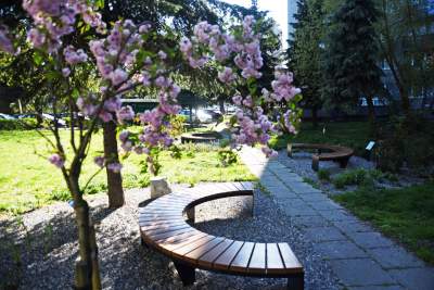 Piękny zaułek przy Prądnickiej: budżet obywatelski ma sens - zdjęcie 9