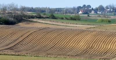 Prawie w Krakowie, choć krajobraz miejscami jak... w Kieleckiem - zdjęcie 7