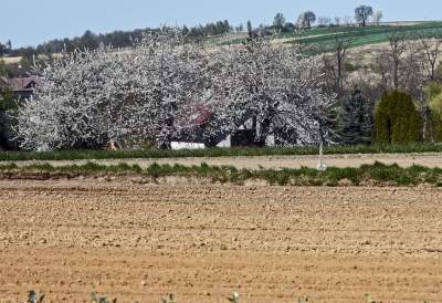 Prawie w Krakowie, choć krajobraz miejscami jak... w Kieleckiem - zdjęcie 2