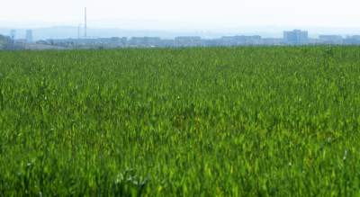 Prawie w Krakowie, choć krajobraz miejscami jak... w Kieleckiem - zdjęcie 6