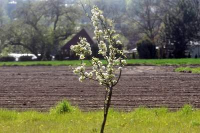 Prawie w Krakowie, choć krajobraz miejscami jak... w Kieleckiem - zdjęcie 10