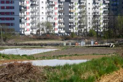 Prawie w Krakowie, choć krajobraz miejscami jak... w Kieleckiem - zdjęcie 22