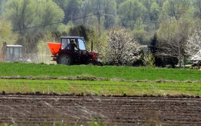 Prawie w Krakowie, choć krajobraz miejscami jak... w Kieleckiem - zdjęcie 15