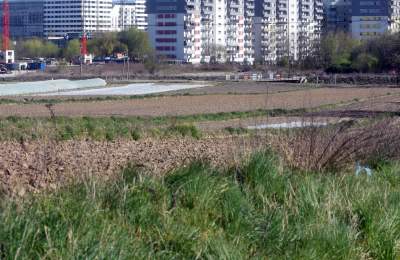 Prawie w Krakowie, choć krajobraz miejscami jak... w Kieleckiem - zdjęcie 25