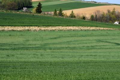 Prawie w Krakowie, choć krajobraz miejscami jak... w Kieleckiem - zdjęcie 28