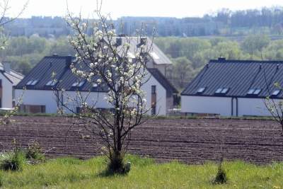 Prawie w Krakowie, choć krajobraz miejscami jak... w Kieleckiem - zdjęcie 11