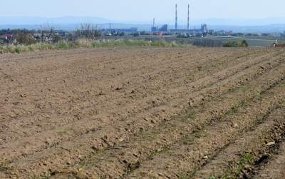 Prawie w Krakowie, choć krajobraz miejscami jak... w Kieleckiem - zdjęcie 4