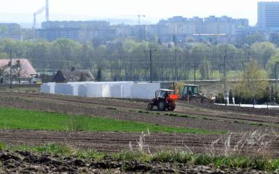 Prawie w Krakowie, choć krajobraz miejscami jak... w Kieleckiem - zdjęcie 12