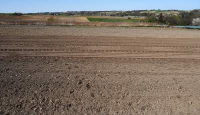 Prawie w Krakowie, choć krajobraz miejscami jak... w Kieleckiem - zdjęcie 8