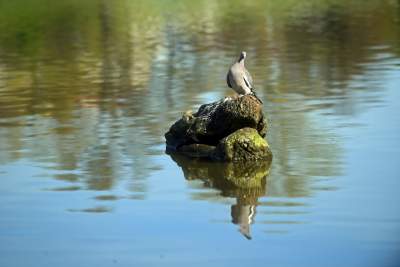 Wody w Wiśle coraz mniej, kiedy spodziewany jest deszcz? - zdjęcie 15