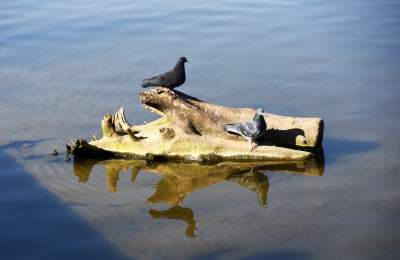 Wody w Wiśle coraz mniej, kiedy spodziewany jest deszcz? - zdjęcie 3