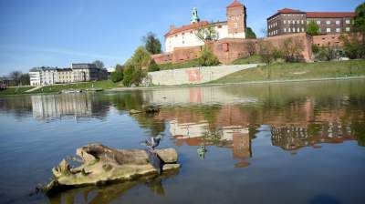 Wody w Wiśle coraz mniej, kiedy spodziewany jest deszcz? - zdjęcie 6