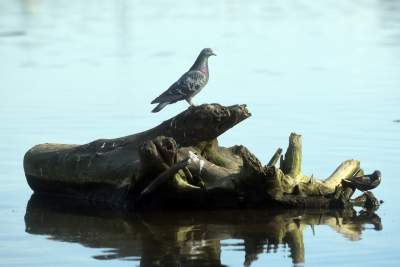 Wody w Wiśle coraz mniej, kiedy spodziewany jest deszcz? - zdjęcie 19