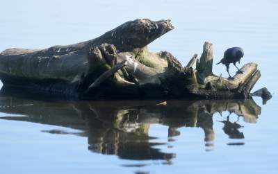 Wody w Wiśle coraz mniej, kiedy spodziewany jest deszcz? - zdjęcie 16