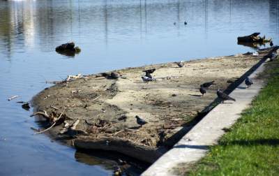 Wody w Wiśle coraz mniej, kiedy spodziewany jest deszcz? - zdjęcie 2