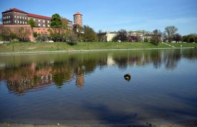 Wody w Wiśle coraz mniej, kiedy spodziewany jest deszcz? - zdjęcie 1
