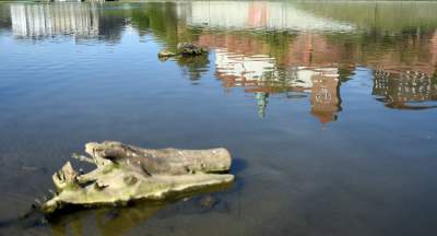 Wody w Wiśle coraz mniej, kiedy spodziewany jest deszcz? - zdjęcie 8