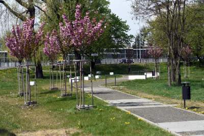 Przytulny skwer przy Wieczystej, budżet obywatelski ma sens - zdjęcie 2