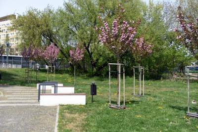 Przytulny skwer przy Wieczystej, budżet obywatelski ma sens - zdjęcie 5