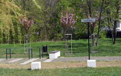 Przytulny skwer przy Wieczystej, budżet obywatelski ma sens - zdjęcie 1