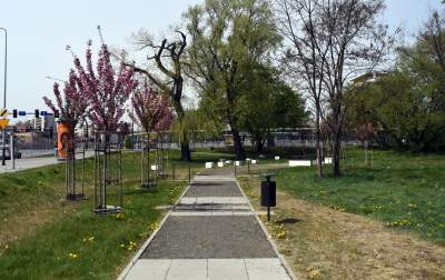 Przytulny skwer przy Wieczystej, budżet obywatelski ma sens - zdjęcie 4