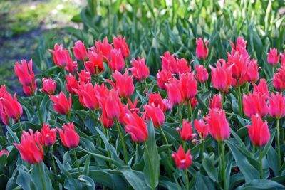 Jedno z najładniejszych miejsc w Krakowie, niedostępne... - zdjęcie 1