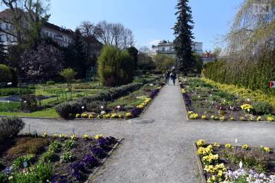 Jedno z najładniejszych miejsc w Krakowie, niedostępne... - zdjęcie 6