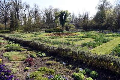 Jedno z najładniejszych miejsc w Krakowie, niedostępne... - zdjęcie 11