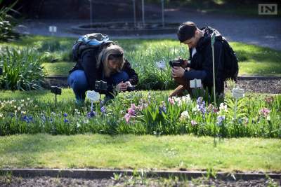 Jedno z najładniejszych miejsc w Krakowie, niedostępne... - zdjęcie 3