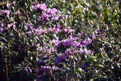 Jedno z najładniejszych miejsc w Krakowie, niedostępne... - zdjęcie 14