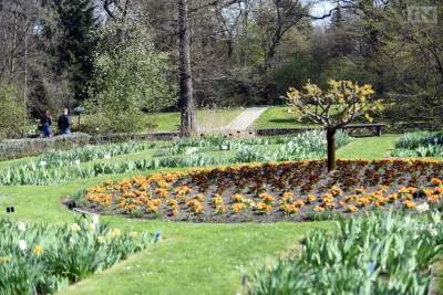 Jedno z najładniejszych miejsc w Krakowie, niedostępne... - zdjęcie 7