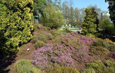 Jedno z najładniejszych miejsc w Krakowie, niedostępne... - zdjęcie 18
