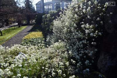 Jedno z najładniejszych miejsc w Krakowie, niedostępne... - zdjęcie 19