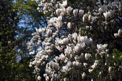 Jedno z najładniejszych miejsc w Krakowie, niedostępne... - zdjęcie 20