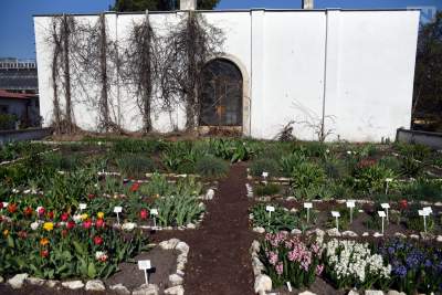 Jedno z najładniejszych miejsc w Krakowie, niedostępne... - zdjęcie 5