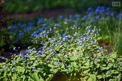 Jedno z najładniejszych miejsc w Krakowie, niedostępne... - zdjęcie 12