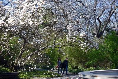 Jedno z najładniejszych miejsc w Krakowie, niedostępne... - zdjęcie 13