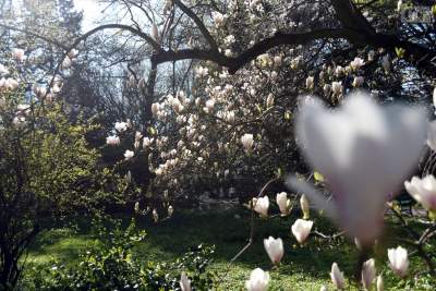 Jedno z najładniejszych miejsc w Krakowie, niedostępne... - zdjęcie 16