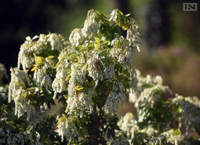 Jedno z najładniejszych miejsc w Krakowie, niedostępne... - zdjęcie 17