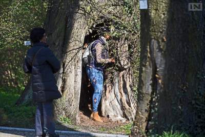 Jedno z najładniejszych miejsc w Krakowie, niedostępne... - zdjęcie 8