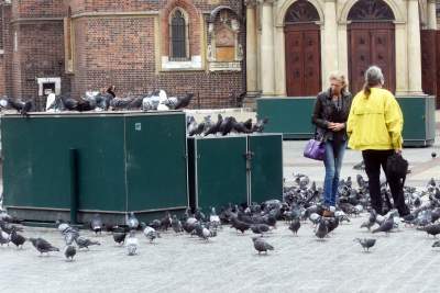 Już nie tak pusty Rynek, policja czekała na demonstrantów? - zdjęcie 14