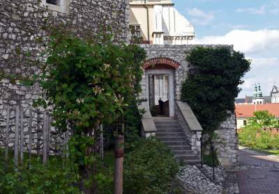 Ogrody zostały otwarte, tu też musisz w maseczce... - zdjęcie 16